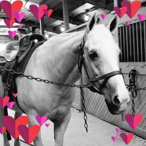 Meet your Posher, Teresa